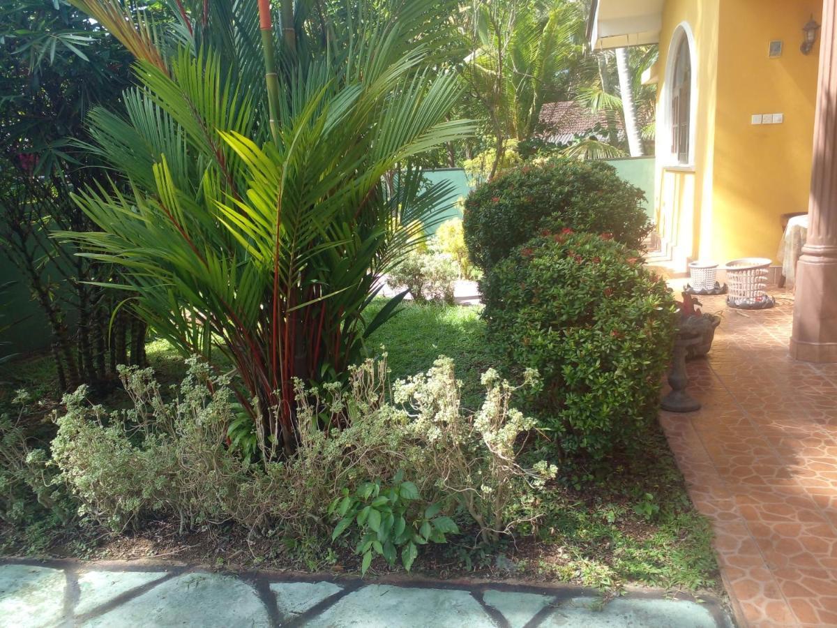 Grace Villa Bentota Exterior photo