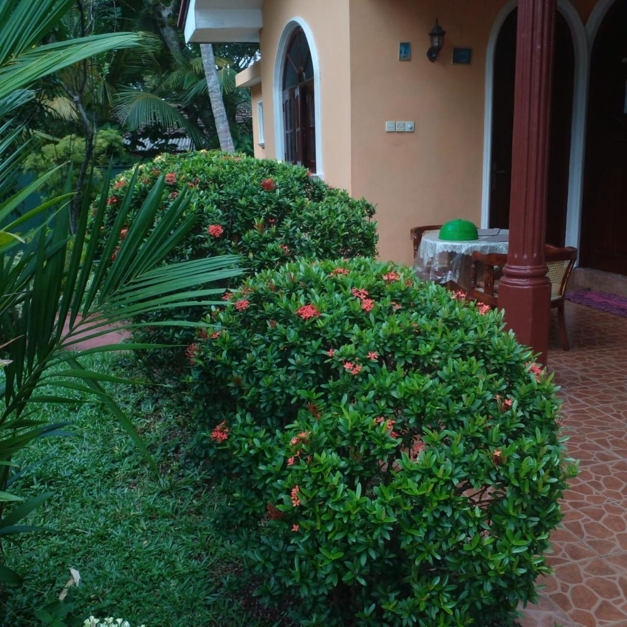 Grace Villa Bentota Exterior photo