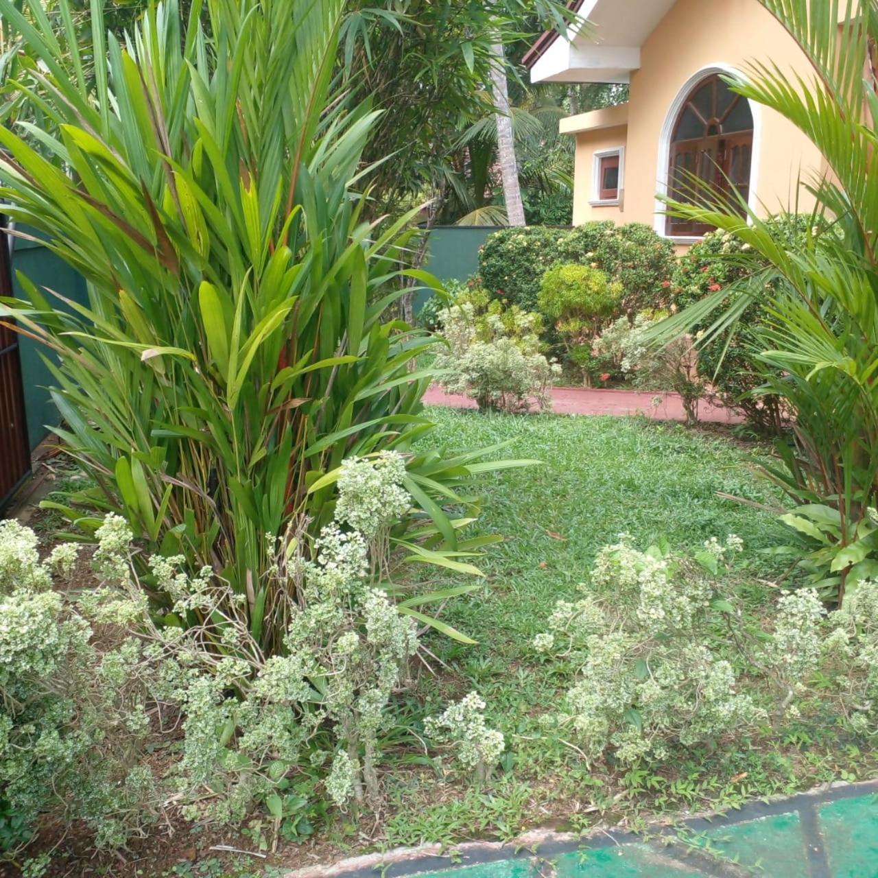 Grace Villa Bentota Exterior photo